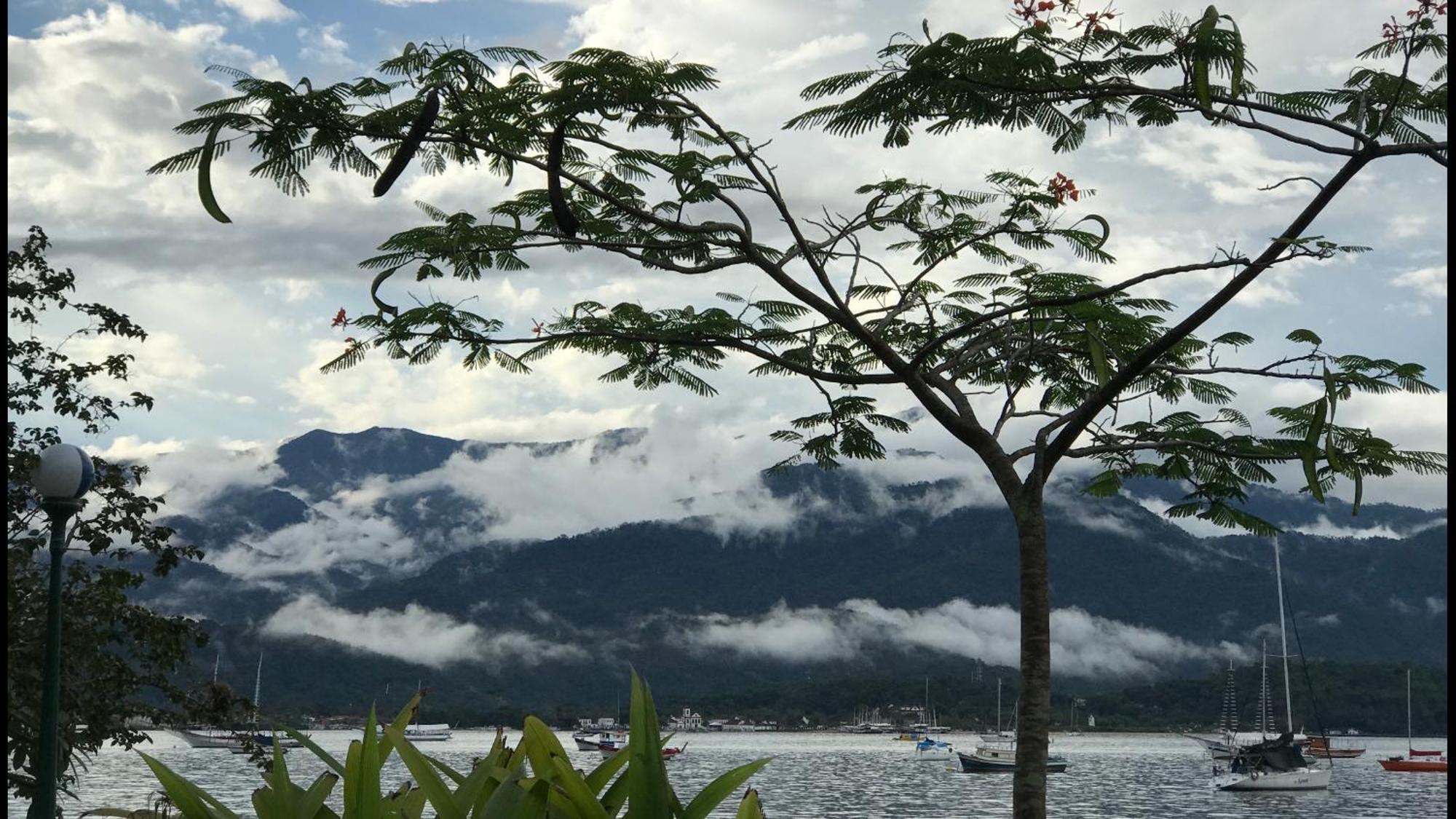 Paraty Bagian luar foto